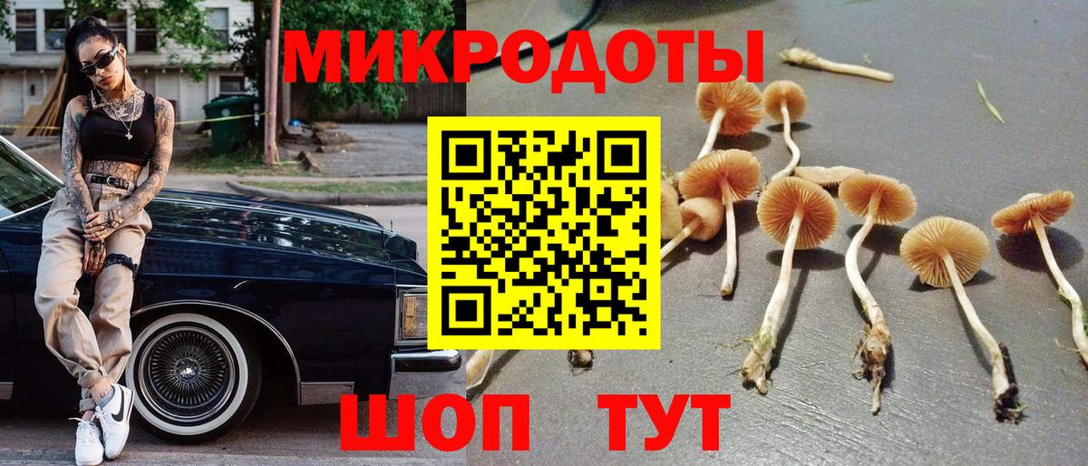 Псилоцибиновые грибы ЛСД  Псилоцибиновые грибы GOLDEN TEACHER  Коммунар  Вход с VPN 