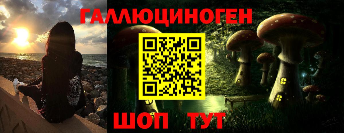 Псилоцибиновые грибы GOLDEN TEACHER Коммунар